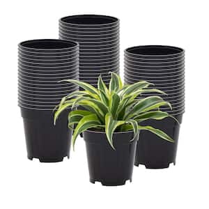 4 in. Black Plastic Standard Grow Pot (250-Pack)