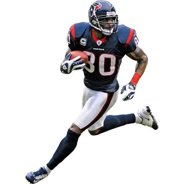 Fathead 32 in. x 23 in. Andre Johnson Wall Decal