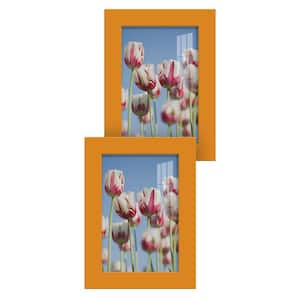 Modern 5 in. x 7 in. Orange Picture Frame (Set of 2)