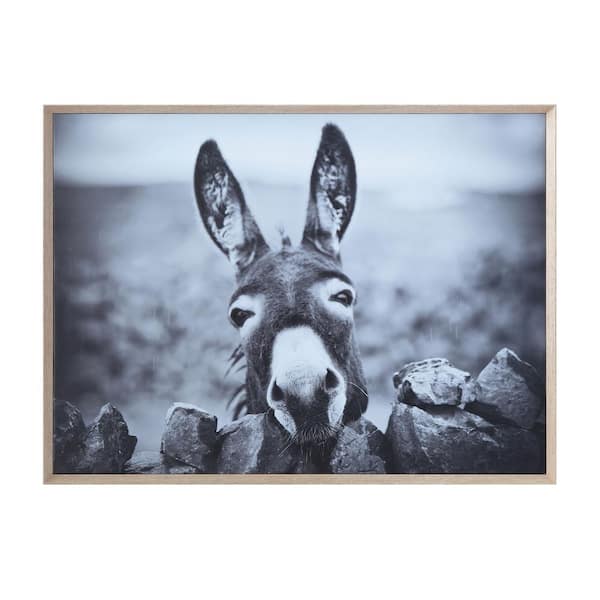 Storied Home 1 Piece Framed Black and White Donkey Photography Wall Art 2 in. x 38.75 in .
