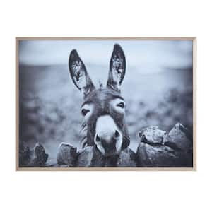 1-Piece Framed Black and White Donkey Photography Wall Art 2 in. x 38.75 in.
