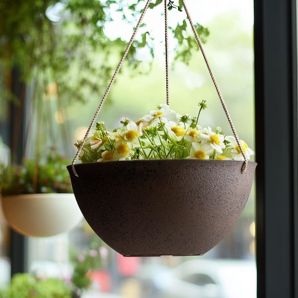 succulent ceramic pot Cactus and Succulent Arrangement in a Ceramic Bowl – Urbane Eight Inc main image 1
