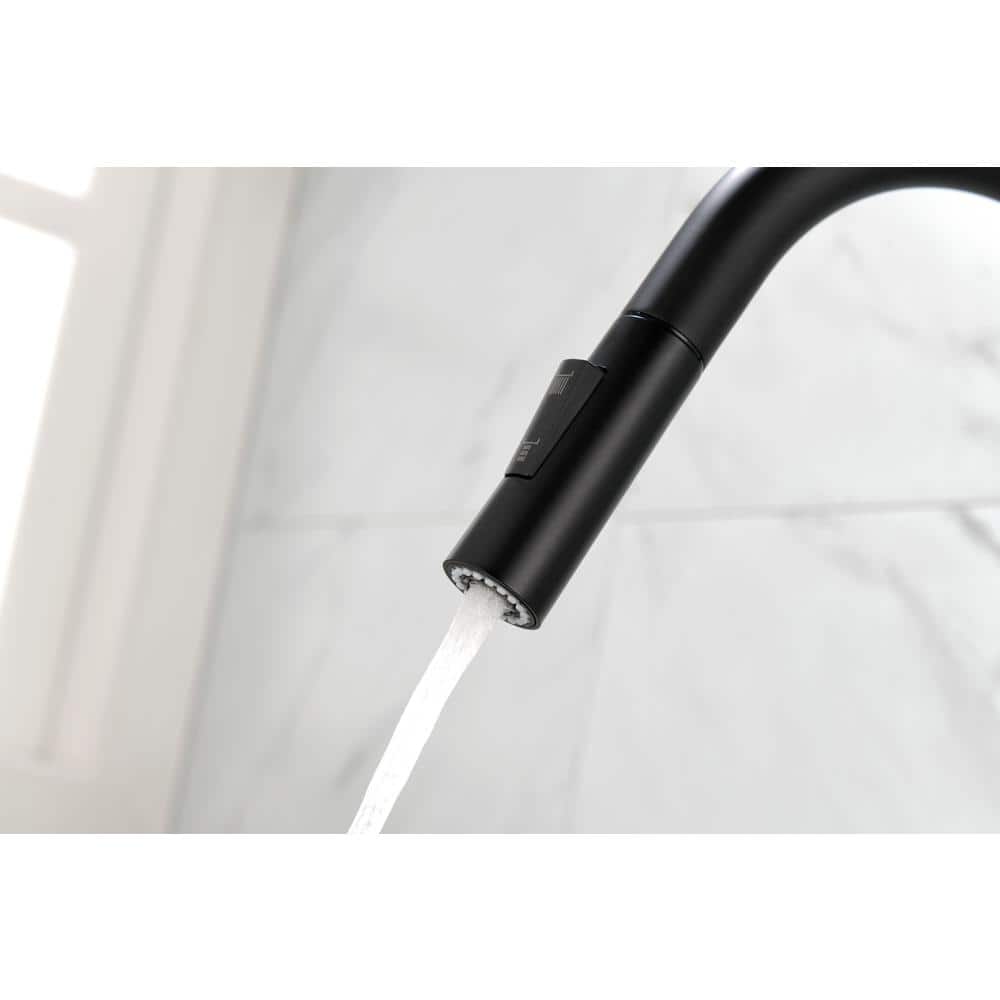 Matte Black Single Handle High-Arc Kitchen Faucet with Pull-out Spray