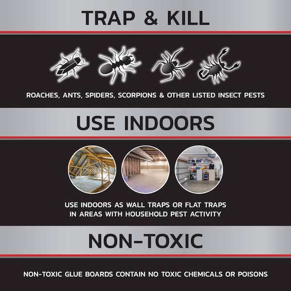 Household Pest Glue Boards (2-Pack)