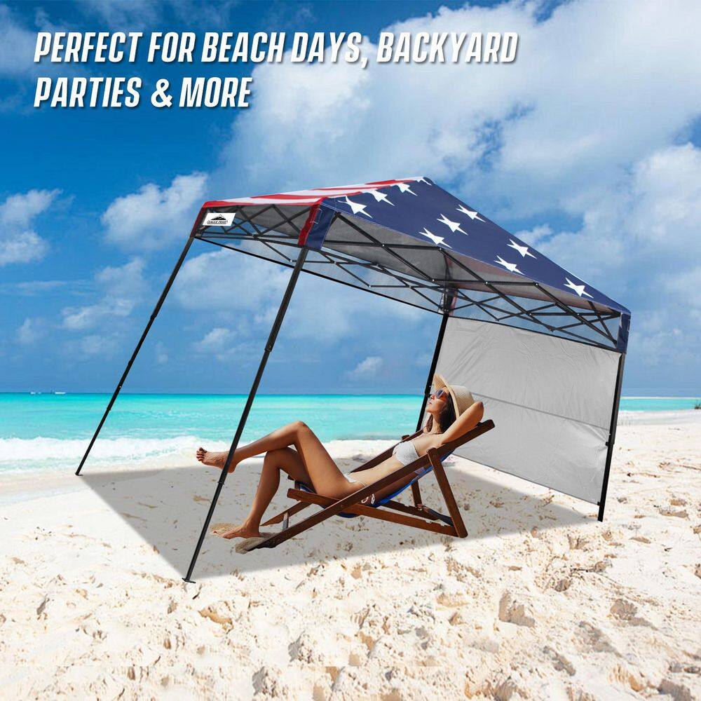 Day Tripper 8 ft. x 8 ft. Slant Leg Lightweight Compact Portable Canopy price history on PriceWatchPro