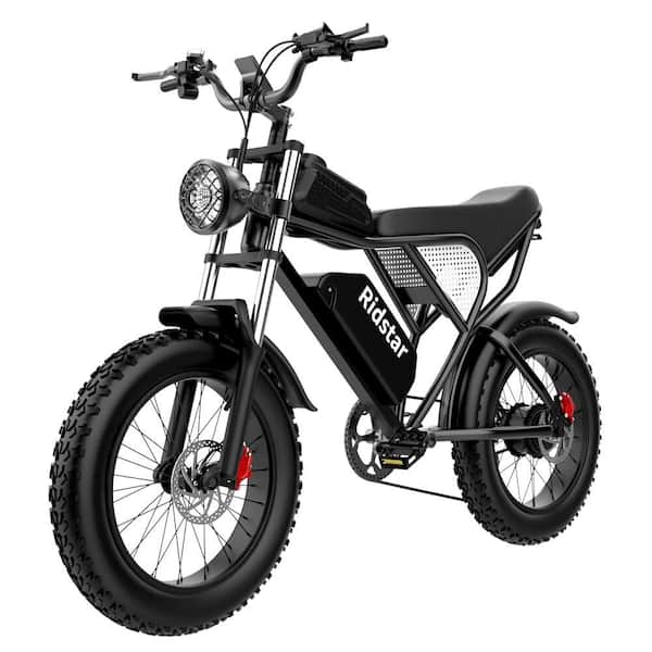 Unbranded Electric Bike for Adults, 20 in. Fat Tire E-Bike, 1000-Watt 30MPH Electric Mountain Bike-48-Volt/20Ah Battery Removable