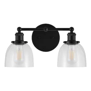 Evelyn 16.25 in. 2-Light Matte Black Modern Industrial Bathroom Vanity Light with Clear Glass Shades