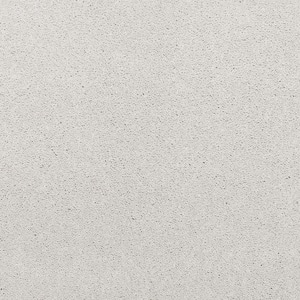 Plush Dreams III - Delicate-Gray 12 ft. 68 oz. Triexta Texture Installed Carpet