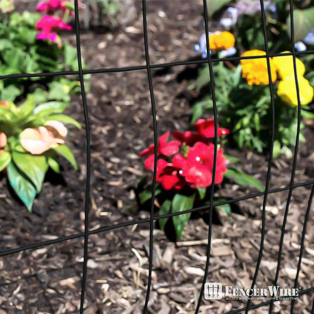Black Vinyl Coated Welded Metal Garden Fence Wire Roll, 4 ft. x 50 ft.