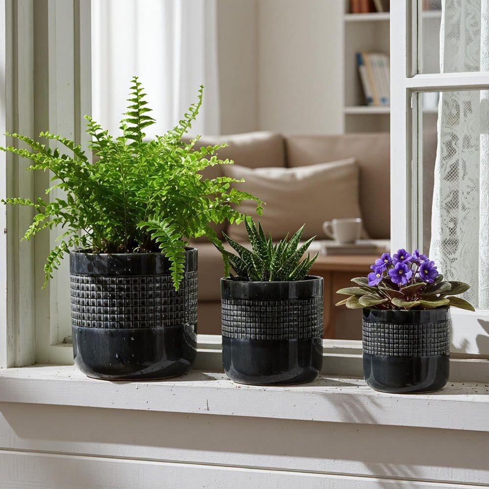 black-dovelina-plant-pots-