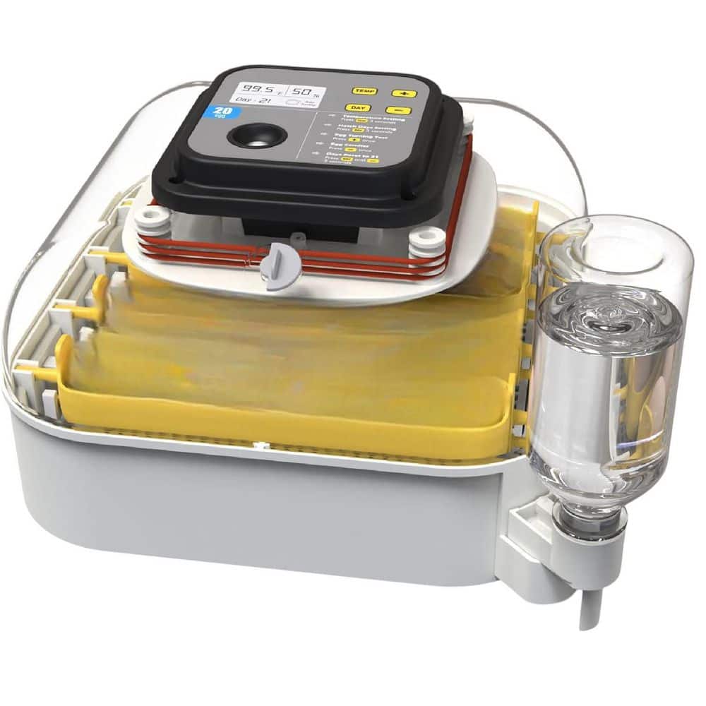 eggtart☆ KIWDZFU 20 Egg Incubator with Humidity Display and Automatic