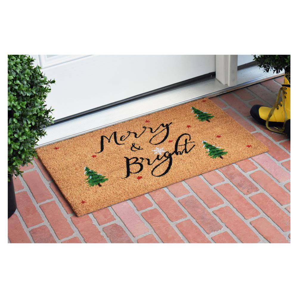 Modern Coir Winter Welcome Outdoor Doormat 29" x 17"