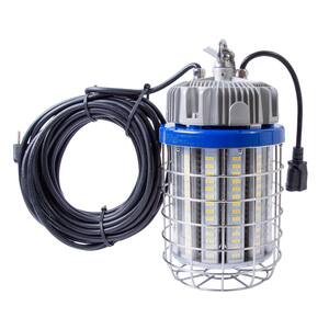 150-Watt LED Luminaire Temporary Plug-In Work Light Fixture, Stainless Steel Cage