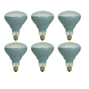 65-Watt BR40 E26 Dimmable Flood Light Bulb with Medium Base for Indoor/Outdoor Use (6-Pack)