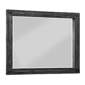 24 in. W x 35.8 in. H Rectangular Modern Aluminum Alloy Framed Rounded Black Wall Mirror