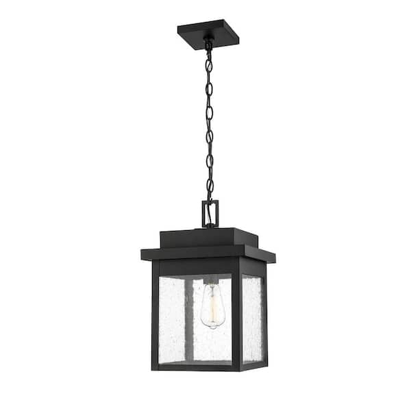 Millennium Lighting 1 - Light Pendant in  Powder Coat Black