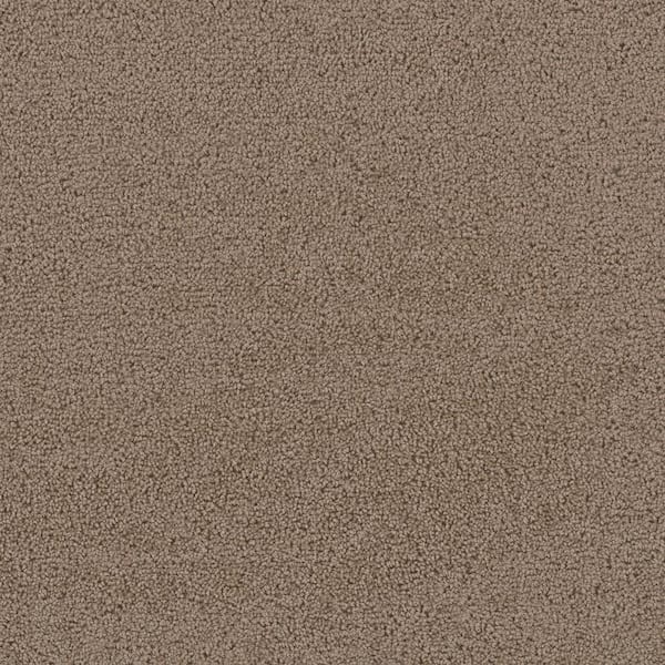 Caring Beige - Fawn - Brown 12 ft. Wide x Cut to Length 16 oz. Polyester Texture Carpet