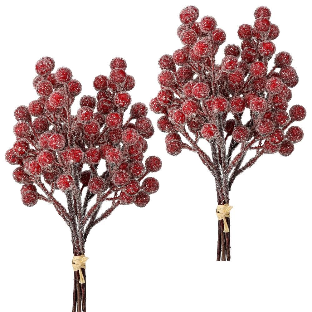 "11"" Glitter Berry Bundle Set of 2" price history on PriceWatchPro
