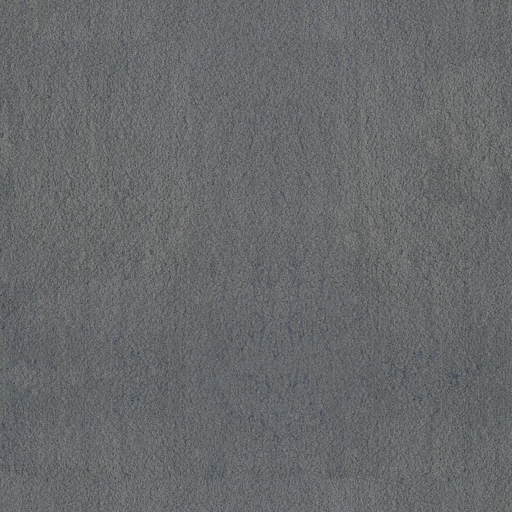 8 in. x 8 in. Texture Carpet Sample - Dreamy Daze I -Color Huntley price history on PriceWatchPro