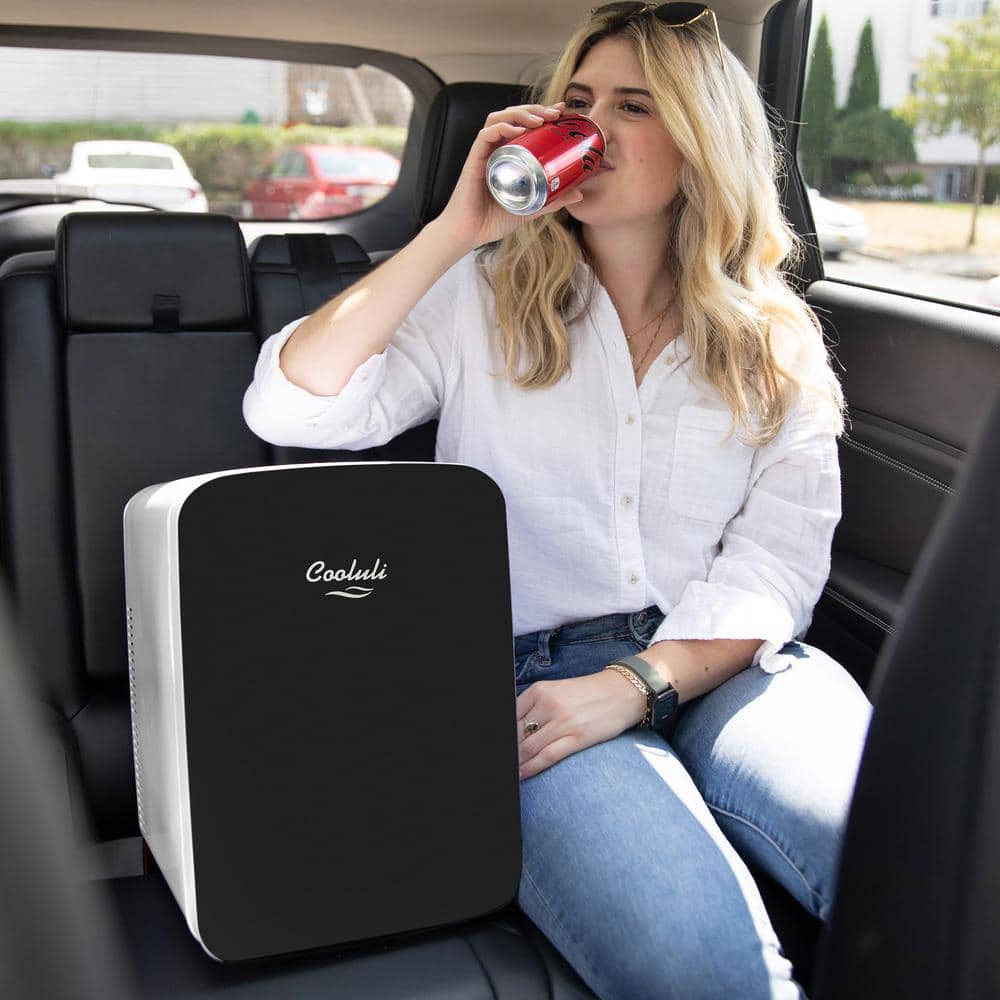 Compact Black Portable Mini Fridge with Smooth Door