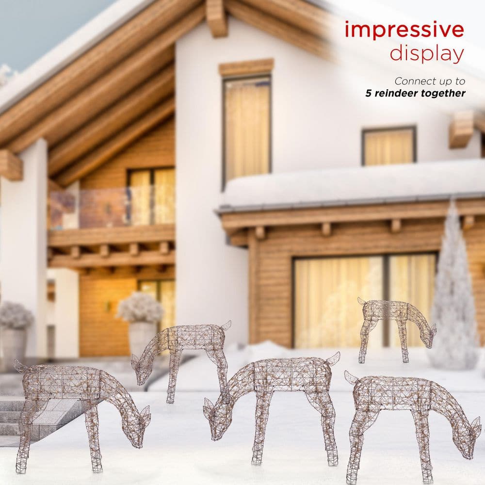 Large Warm White Pre-lit Rattan Reindeer Decoration