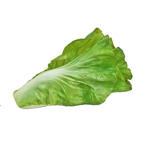 Set of 2 Artificial Real Touch Lettuce