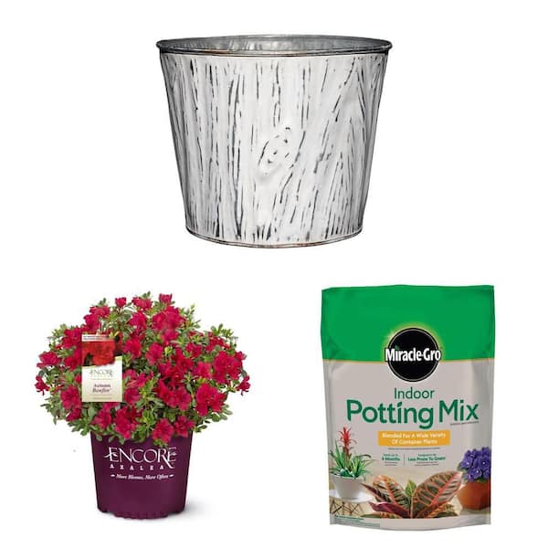 6.7 in. Round Planter, 1 Gal. Autumn Bonfire Azalea Bush, and 6 qt. Potting Mix Combo
