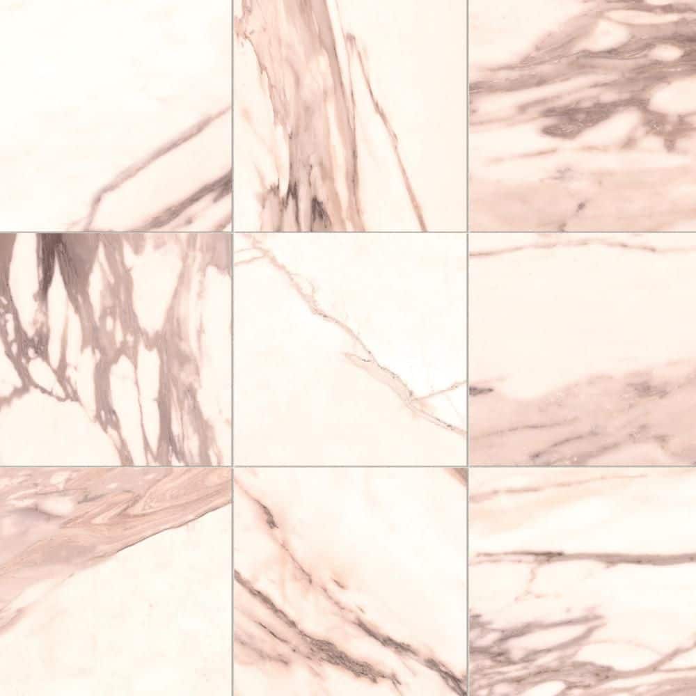 Reve Rose 12 in. x 12 in. Porcelain Floor and Wall Tile (11.63 sq. ft. /Case) price history on PriceWatchPro