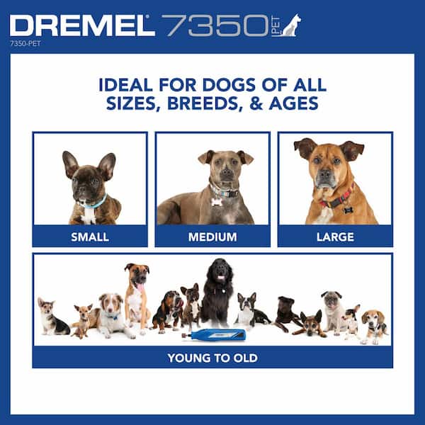 Dremel 7350-PET 4-Volt Pet Grooming Cordless Rotary Tool Kit