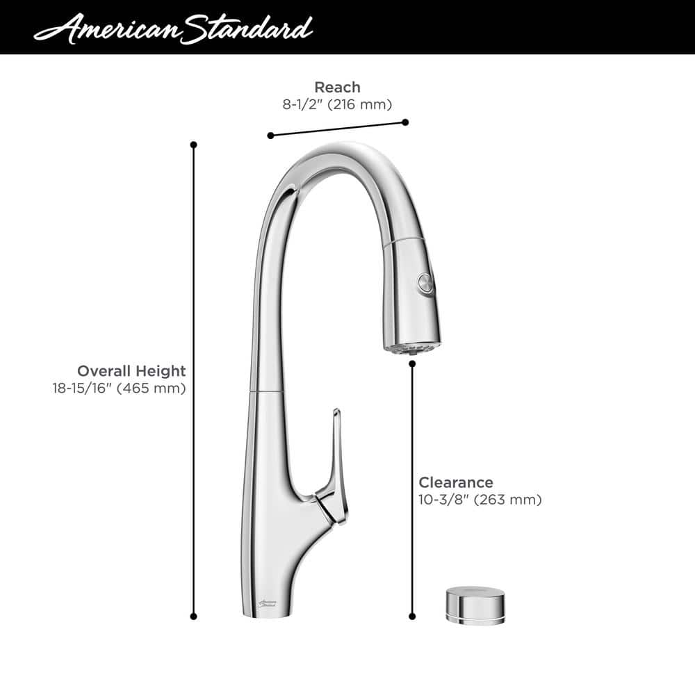 Saybrook Chrome Pull-Down Kitchen Faucet with Filter