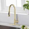 gold-pull-down-kitchen-faucets-xj-jybb41202bg-64.0