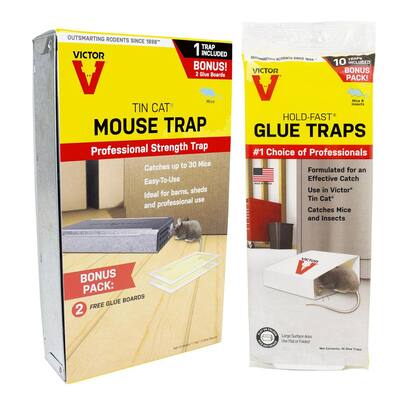 Mice - Glue Trap - The Home Depot