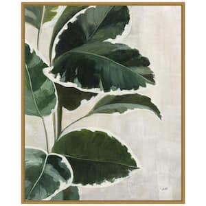 "Tropical Study I" by Julia Purinton 1-Piece Floater Frame Canvas Transfer Nature Art Print 28 in. x 23 in.