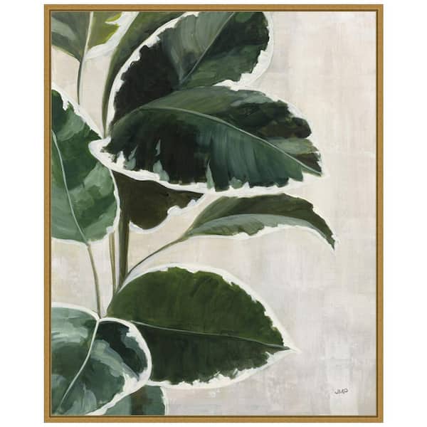 Amanti Art "Tropical Study I" by Julia Purinton 1-Piece Floater Frame Canvas Transfer Nature Art Print 28 in. x 23 in.