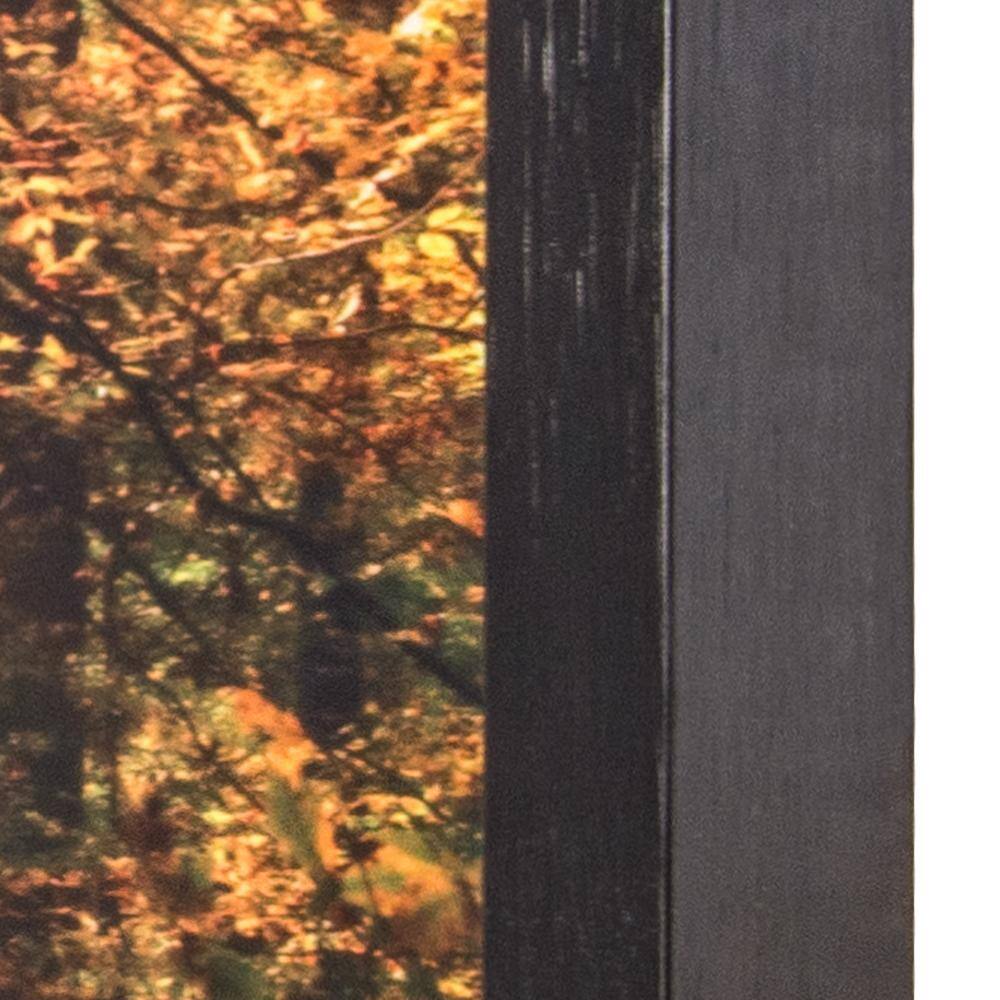 Sunlit Forest Path Framed Glass Landscape Print