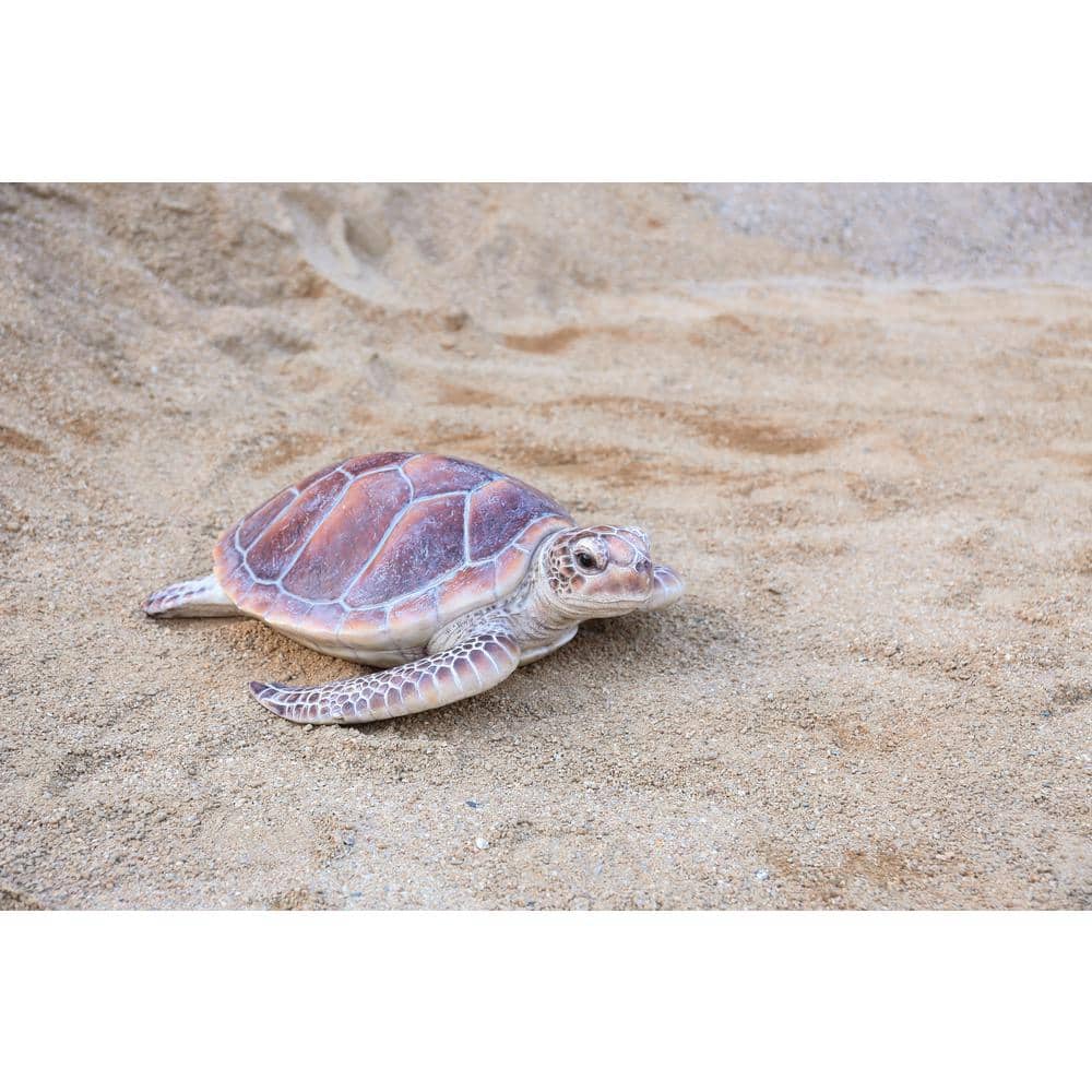 Large Realistic Driftwood Sea Turtle Polyresin Garden Statue