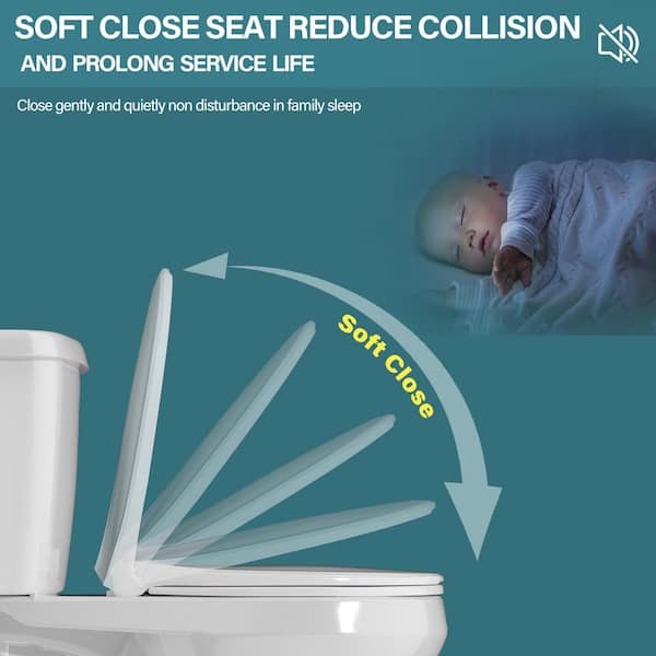 Aguamaph 19 in. 2-Piece Toilet Dual Flush 1.1/1.6 GPF Map Flush