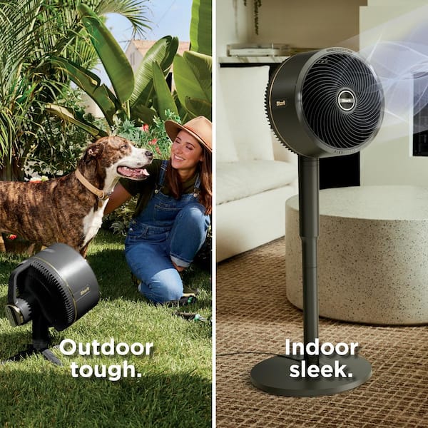 Shark FlexBreeze 13 in. 5-Speed Outdoor and Indoor Pedestal