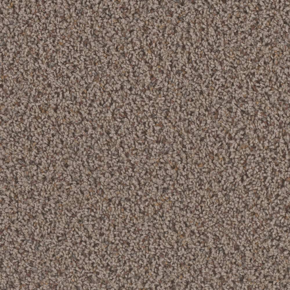 8 in. x  8 in. Texture Carpet Sample - Dream Wish -Color Target price history on PriceWatchPro