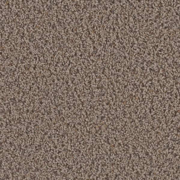TrafficMaster 8 in. x  8 in. Texture Carpet Sample - Dream Wish -Color Target