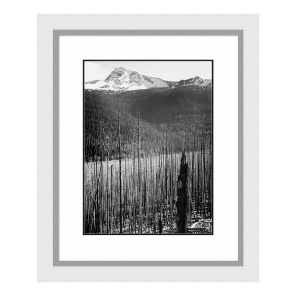 Amanti Art "Burned Area, Glacier National Park, Montana - National Parks and Monuments, 1941" by Ansel Adams Framed Wall Art