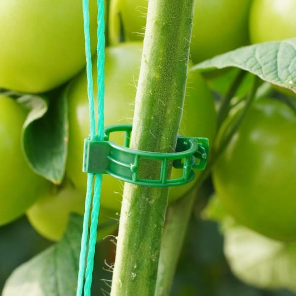 Primehome 100 Pack Green Plastic Plant Support Clips – Reusable