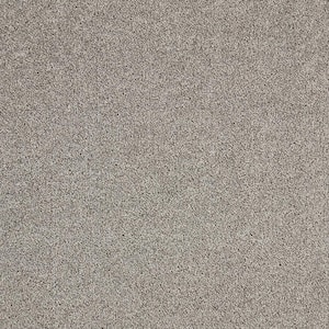 Gemini I - City Loft - Gray 38 oz. Polyester Texture Installed Carpet