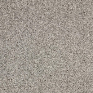 Gemini II - City Loft - Gray 56 oz. Polyester Texture Installed Carpet