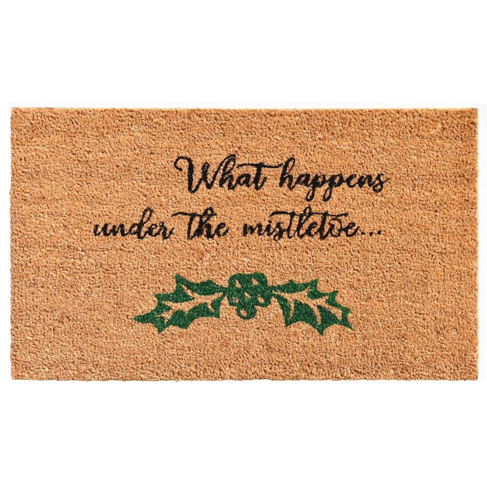 Multi-Colored 29 in. x 17 in. Coir Outdoor Door Mat price history on PriceWatchPro