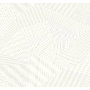 White Dotted Maze Metallic Non-pasted Non-Woven Paper Wallpaper