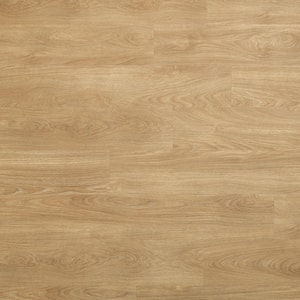 Take Home Sample - Basics Sandy Brown 20 mil T x 7.5 in. W x 7 in. L Glue down Waterproof Luxury Vinyl Plank Flooring
