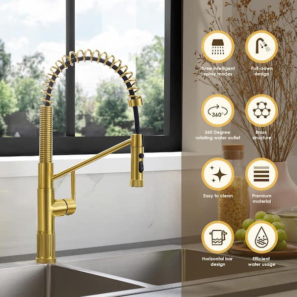 Altair Nette Brushed Gold 22 in. H Pull Down Sprayer Kitchen