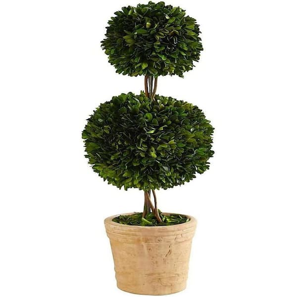 2.5 ft. Artificial Preserved Boxwood Double Ball Topiary Tree in Decorative Planter