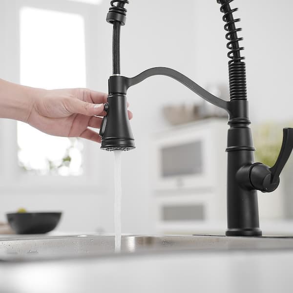 Pro Style Spring Single Handle Matte Black 19.01 in. H 2-Func Pull-Down Kitchen Faucet W/ 360° Swivel